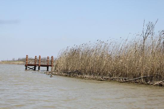 Chongming